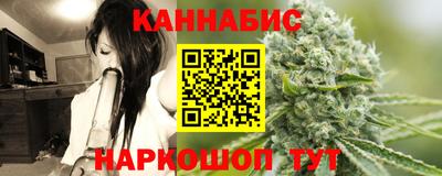 индика Будённовск