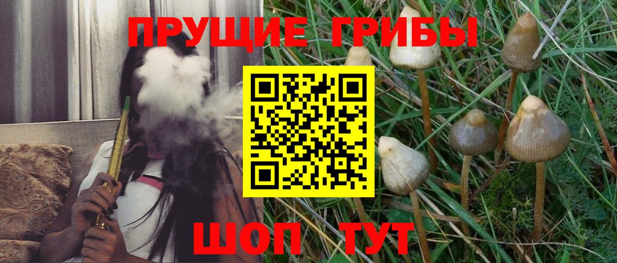 Галлюциногенные грибы MAGIC MUSHROOMS Павлово