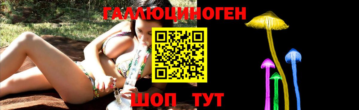 Павлово  Галлюциногенные грибы Magic Shrooms  Вход с VPN 